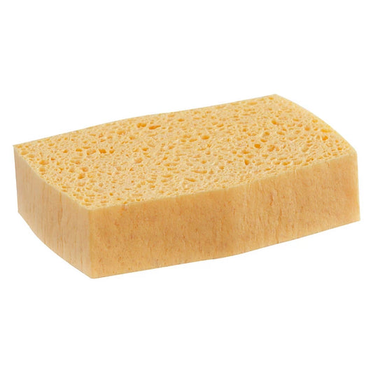 Éponge Végétale N°4
